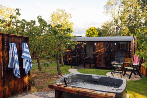 lapin-gallery-image-4