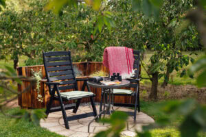 lapin gallery image 5