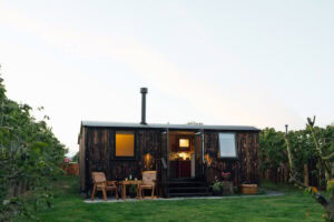 lapin gallery image 13